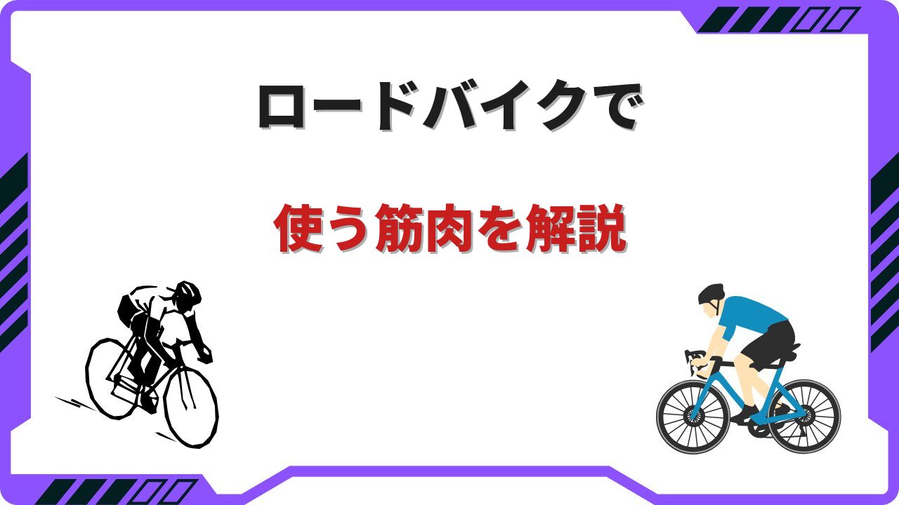 ロードバイク筋肉