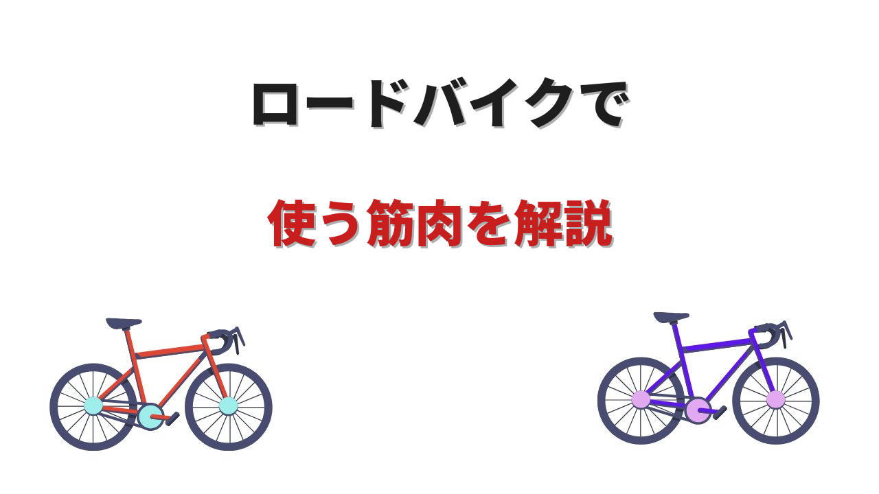 ロードバイク筋肉